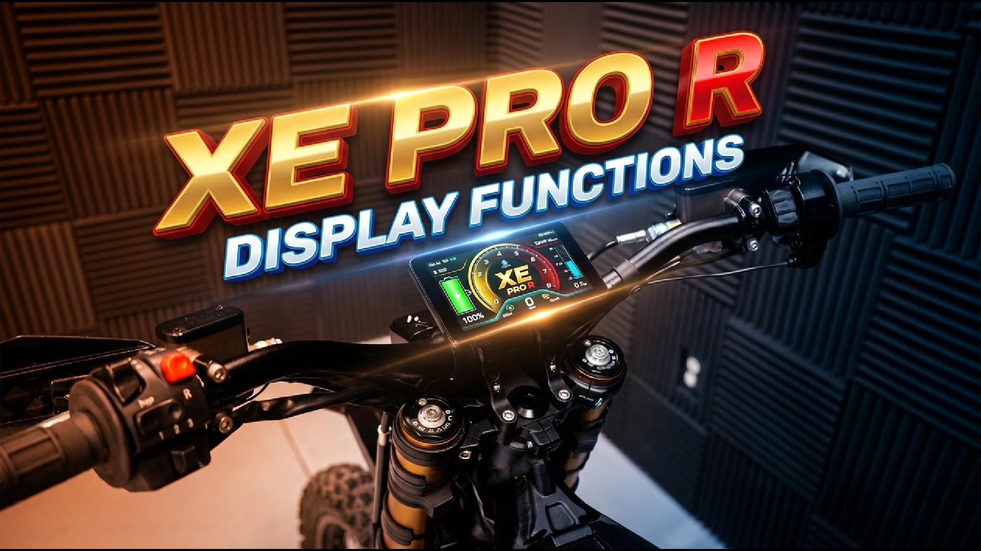 Arctic Leopard XE Pro R Display Functions - Pinned Electric