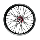 AL EX 18" Rear Wheel (Arctic Leopard EX OEM) - Pinned Electric