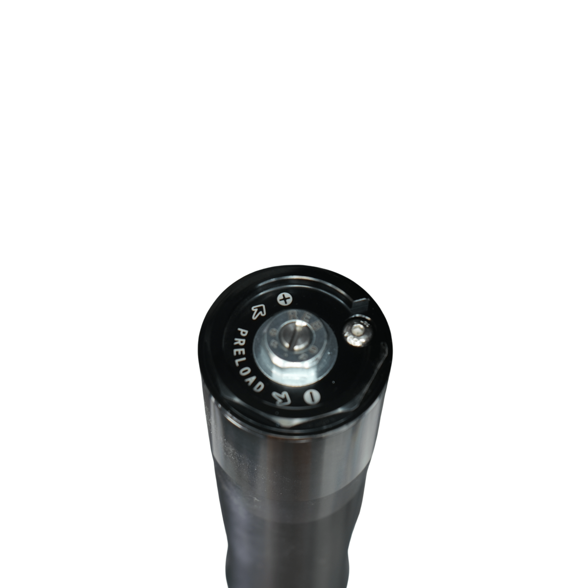 AL EX Front Forks (Arctic Leopard OEM) - Pinned Electric