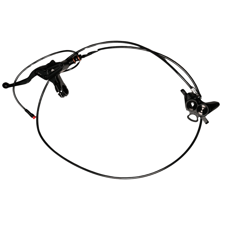 AL XF Rear Brake Assembly (Arctic Leopard XF OEM) - Pinned Electric