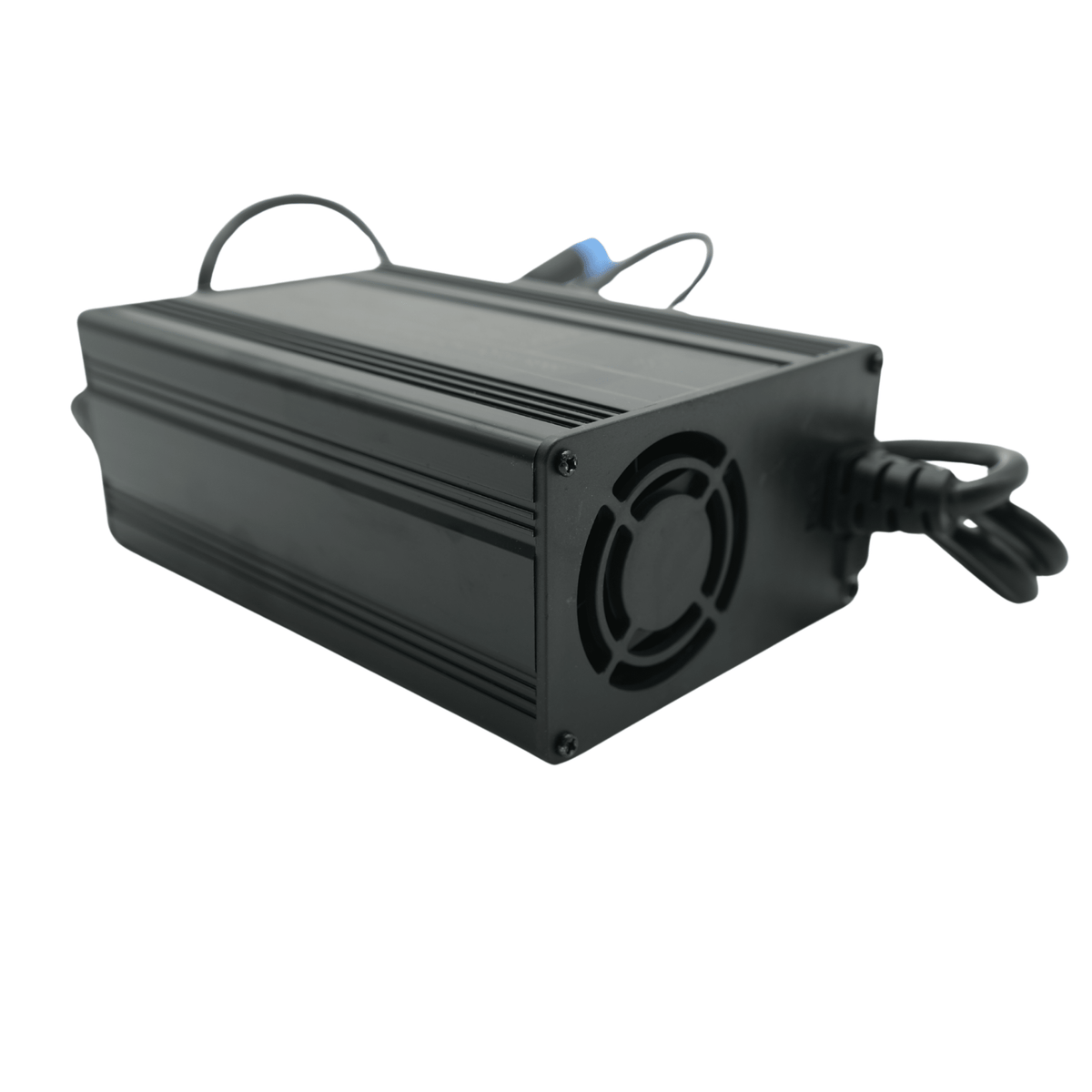 Arctic Leopard EX Charger - Pinned Electric