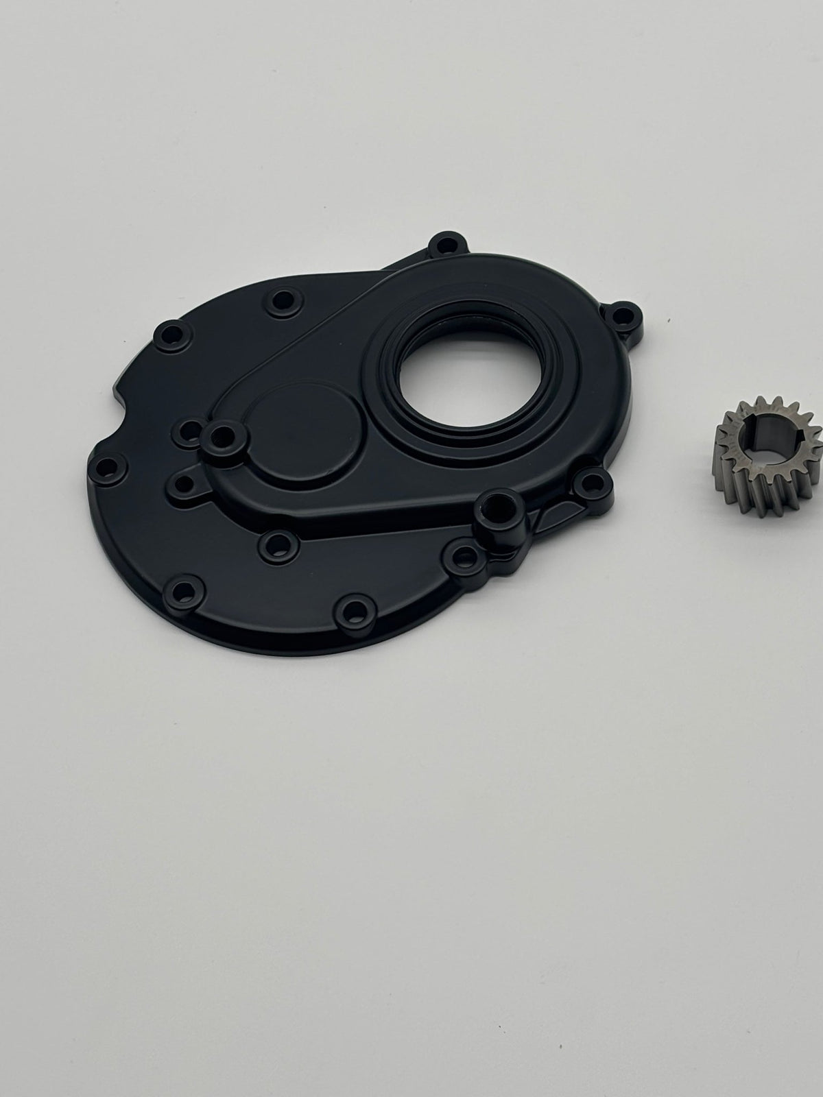 Arctic Leopard Internal Motor Gear and Side Cover (OEM) - Pinned Electric
