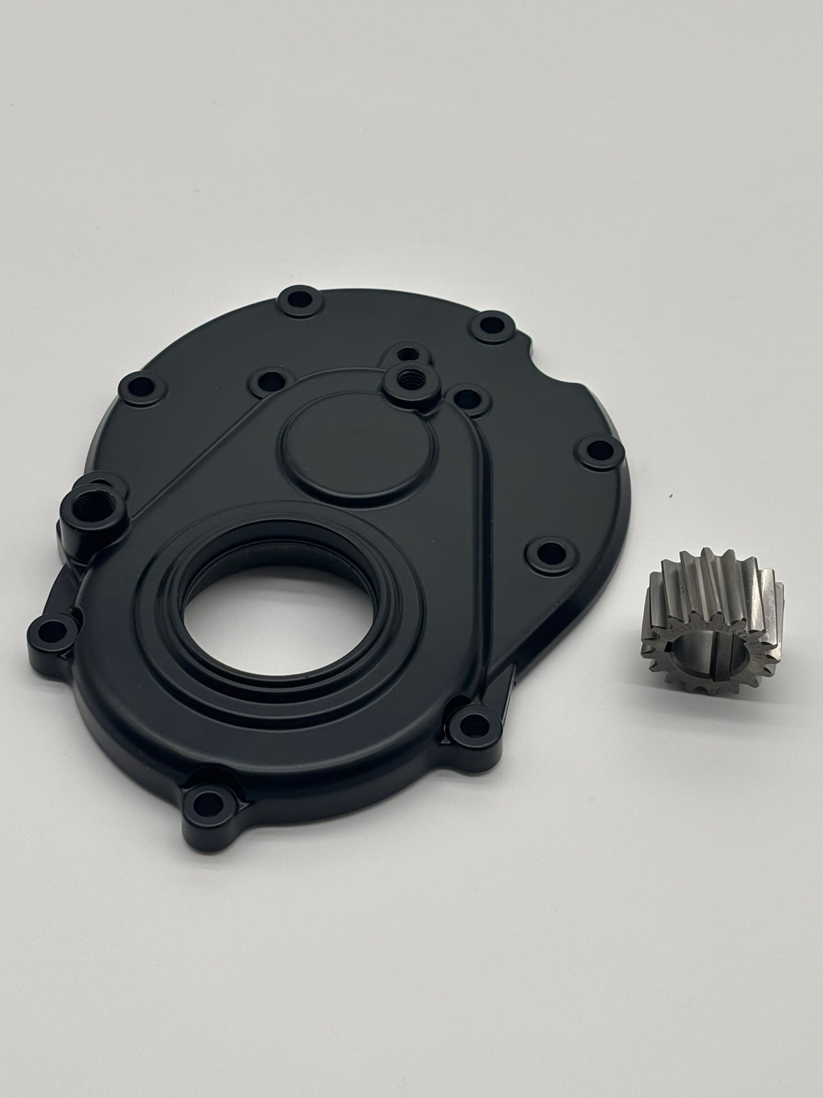 Arctic Leopard Internal Motor Gear and Side Cover (OEM) - Pinned Electric