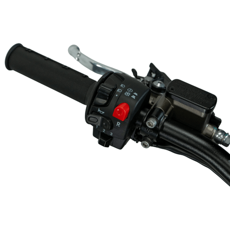 Arctic Leopard XE PRO R - Pinned Electric