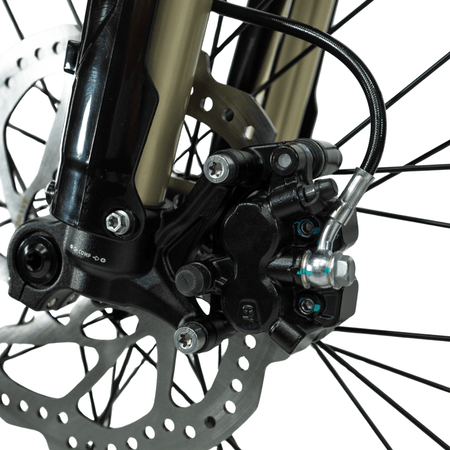 Arctic Leopard XE PRO R - Pinned Electric