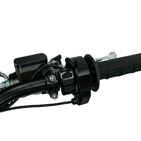Arctic Leopard XE PRO R - Pinned Electric