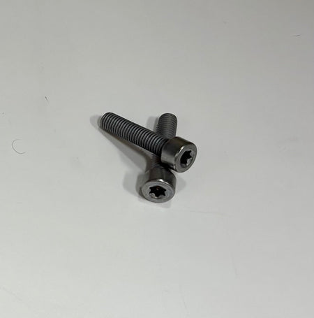 Arctic Leopard XE Pro R Front Caliper Bolts (OEM) – Set of 2 - Pinned Electric