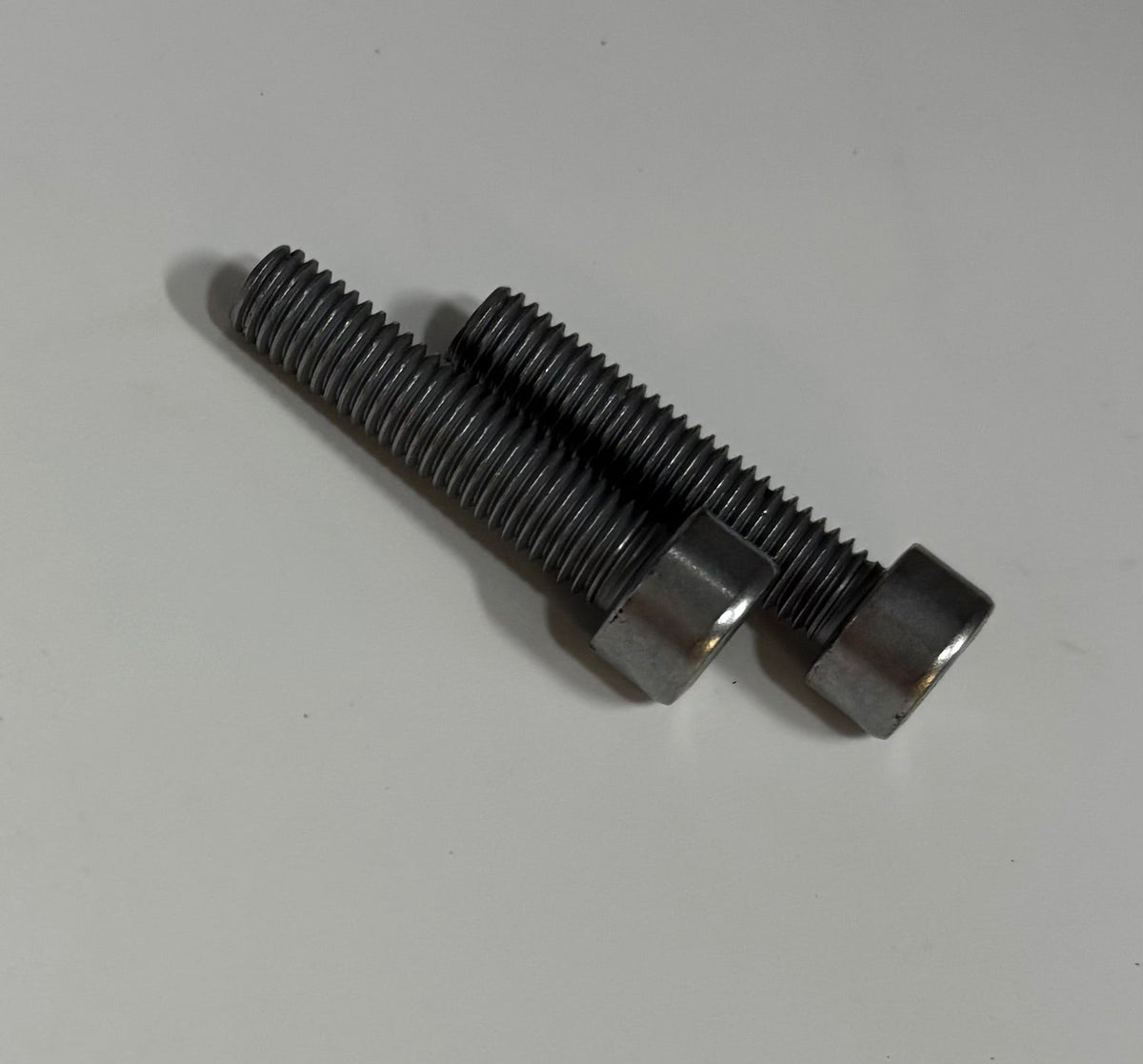 Arctic Leopard XE Pro R Front Caliper Bolts (OEM) – Set of 2 - Pinned Electric