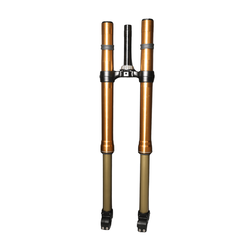 Arctic Leopard XE Pro R Front Fork (AL XE OEM) - Pinned Electric