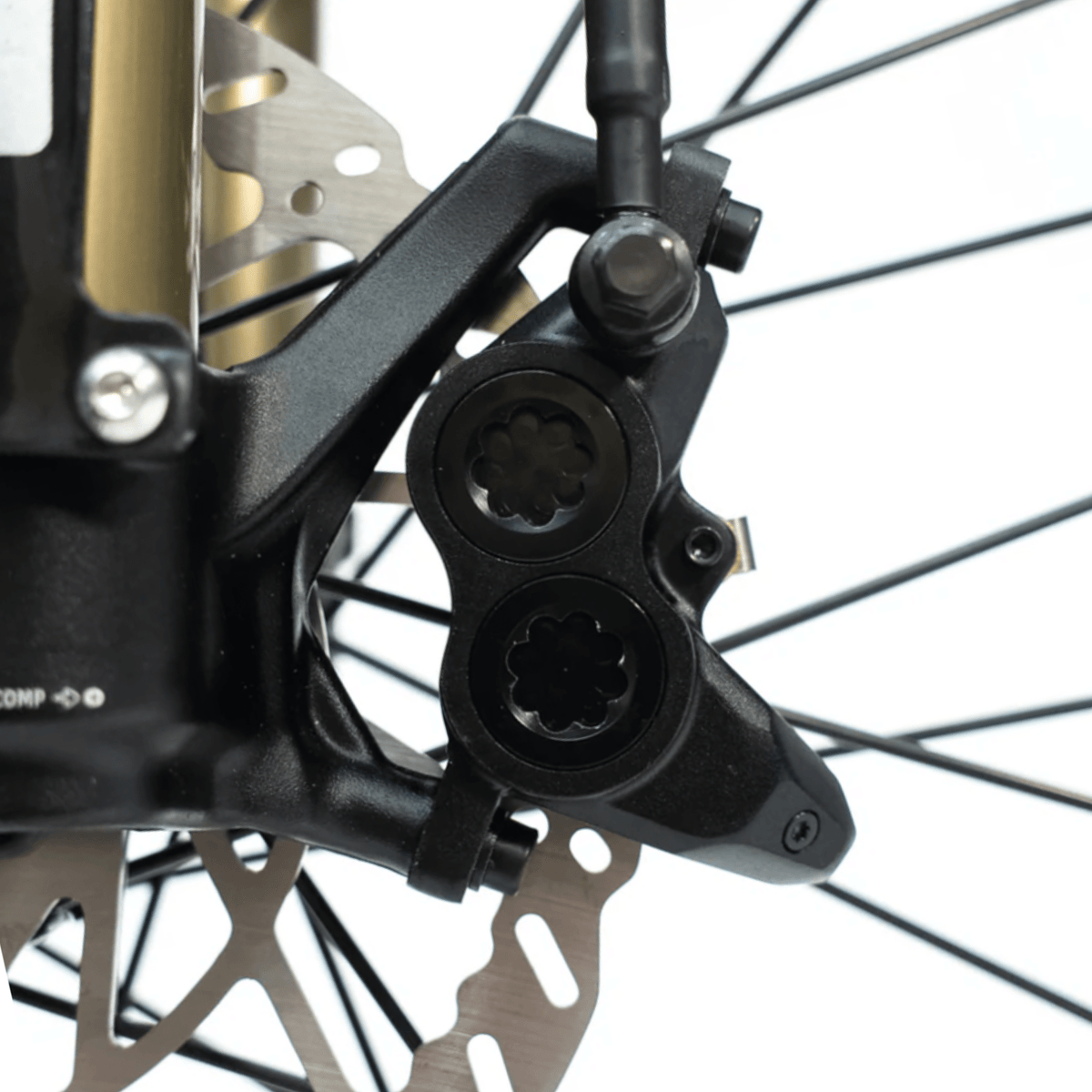 Arctic Leopard XE PRO S - Pinned Electric