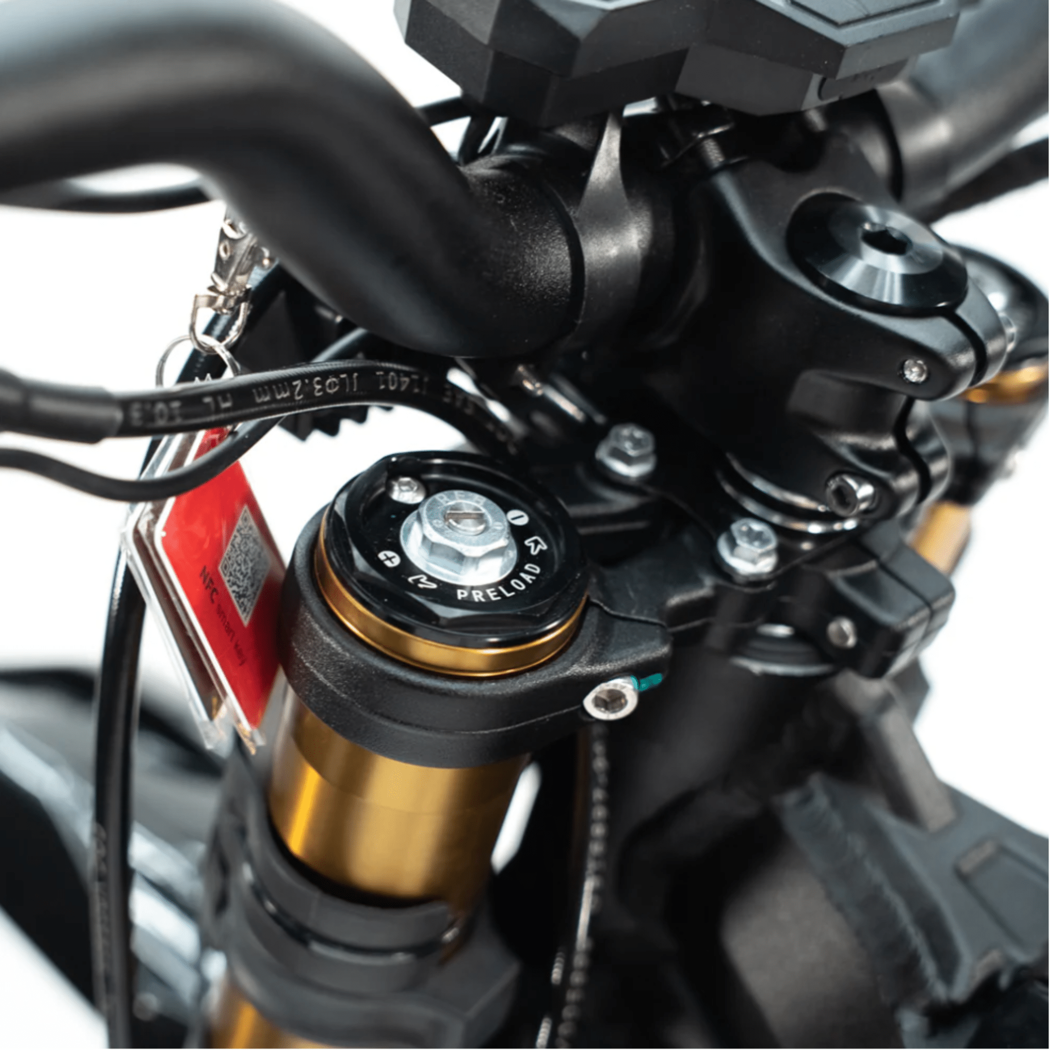 Arctic Leopard XE PRO S - Pinned Electric