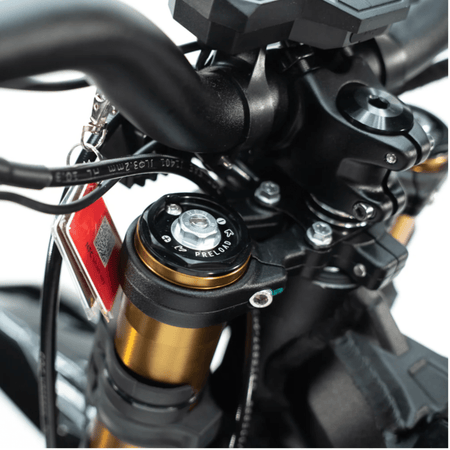 Arctic Leopard XE PRO S - Pinned Electric