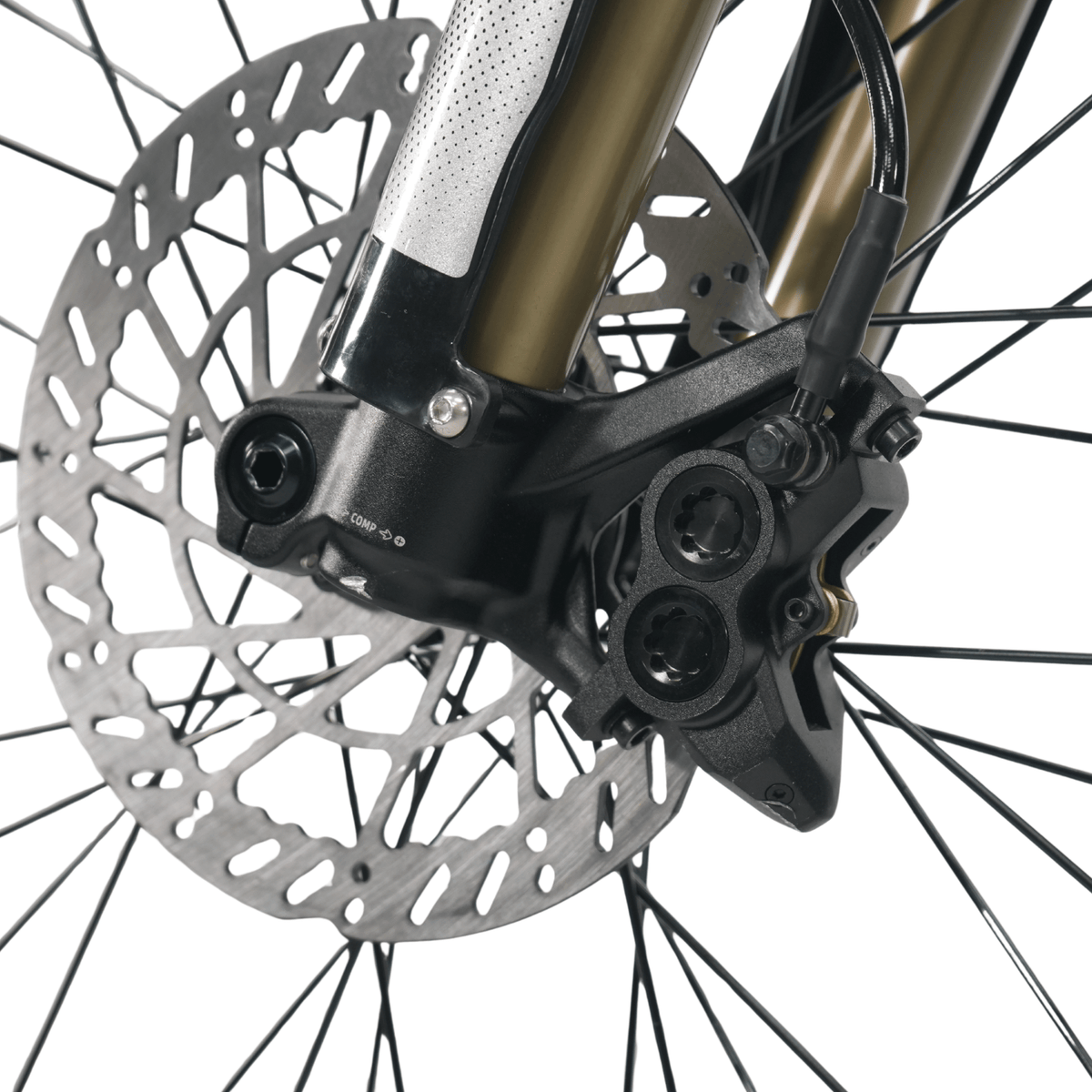 Arctic Leopard XE PRO S - Pinned Electric