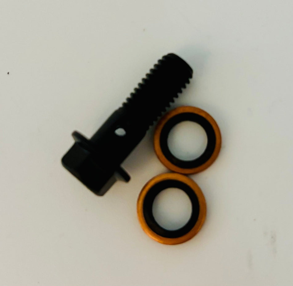 Arctic Leopard XE Pro S / XF Master Cylinder Banjo Bolt with Washers (OEM) - Pinned Electric