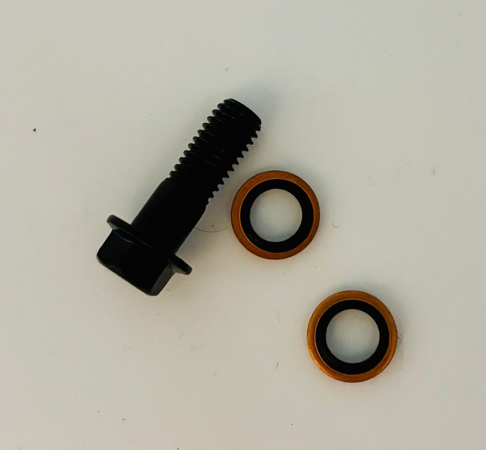 Arctic Leopard XE Pro S / XF Master Cylinder Banjo Bolt with Washers (OEM) - Pinned Electric