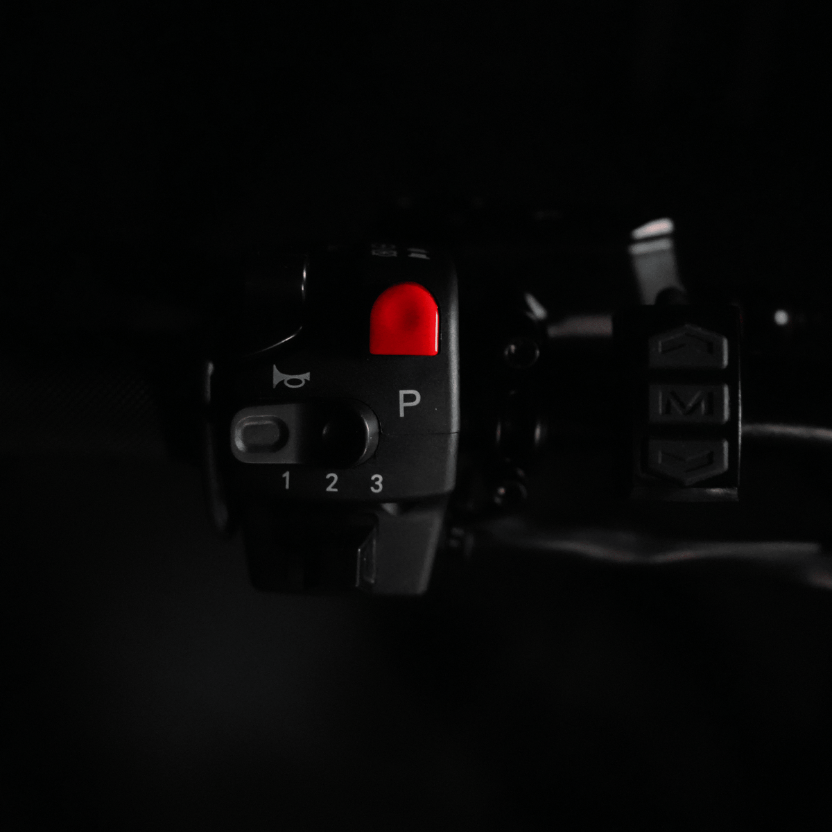 Arctic Leopard XF - Pinned Electric