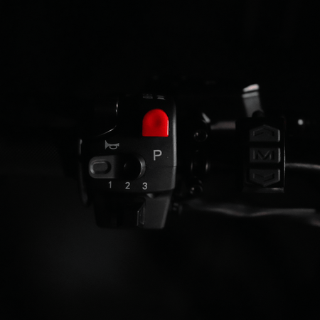 Arctic Leopard XF - Pinned Electric