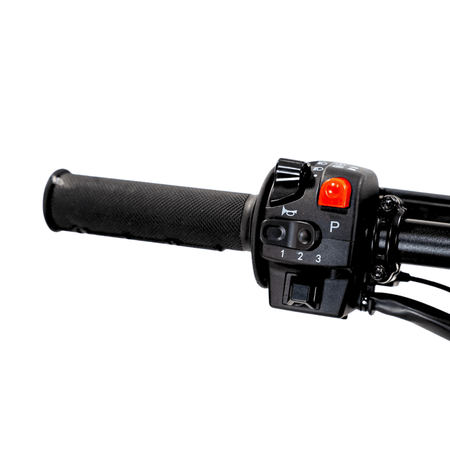 Arctic Leopard XF - Pinned Electric