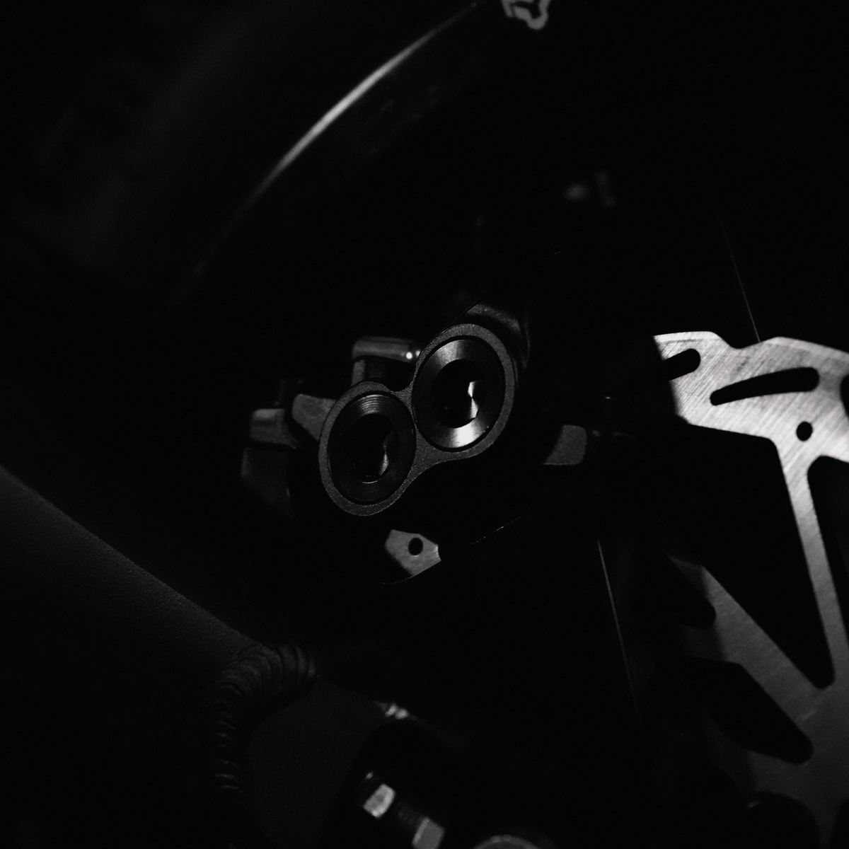 Arctic Leopard XF - Pinned Electric