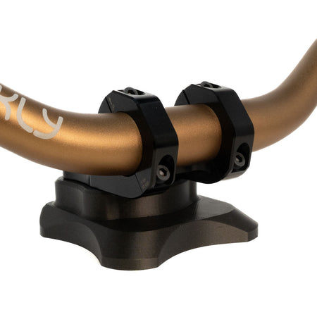 Prickly Motorsports 31.8mm Direct Mount Stem - Pinned Electric
