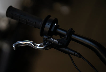 Prickly Motorsports Brake Lever - E Ride / MX4 - Pinned Electric