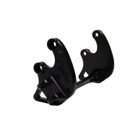 Prickly Motorsports Footpeg Brackets - Pinned Electric