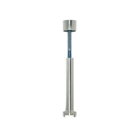Prickly Stem Lock - Pinned Electric