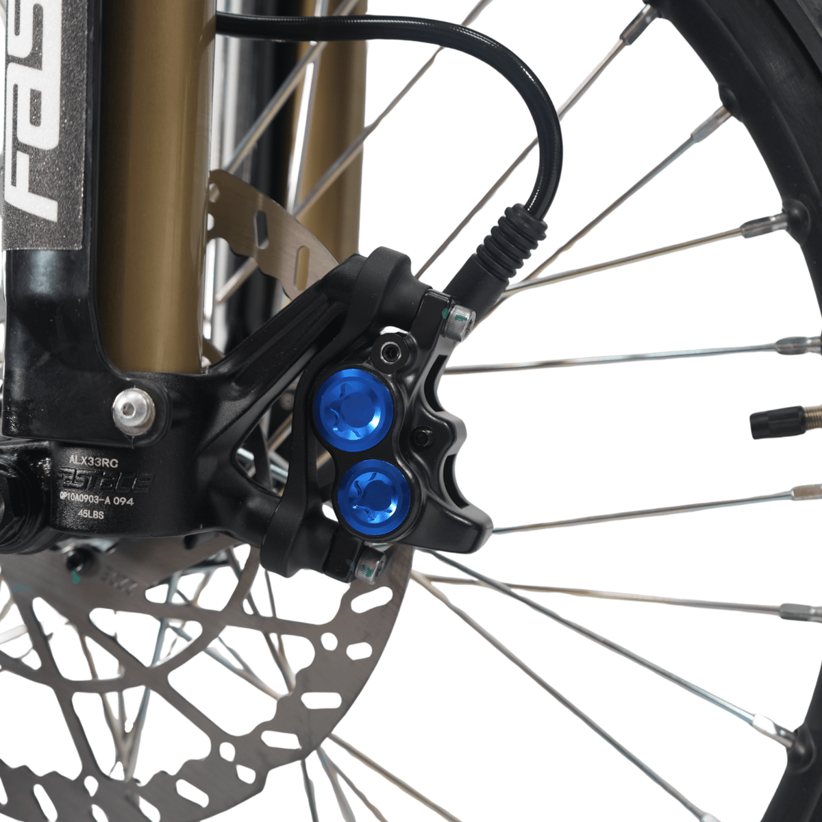 R1 - Pinned Electric
