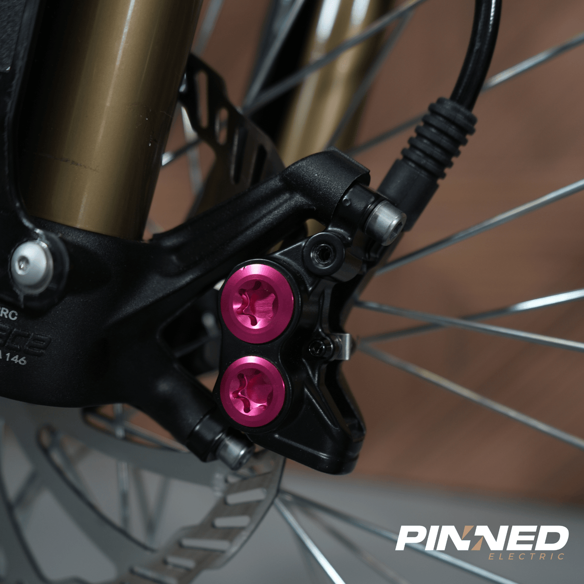 R1 - Pinned Electric