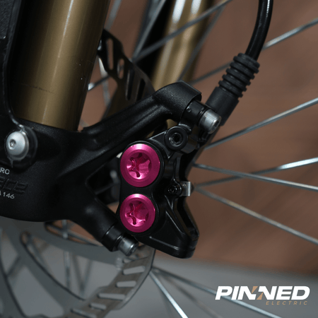 R1 - Pinned Electric