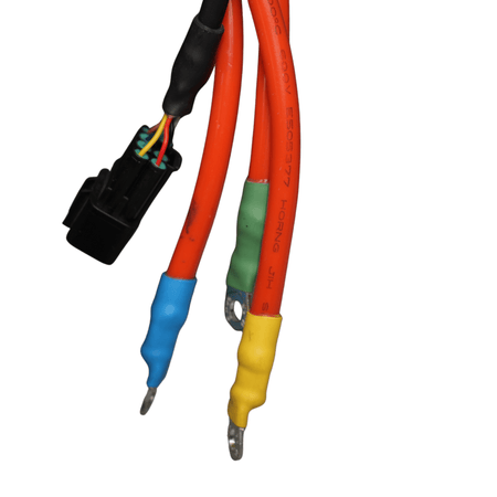 RERODE Motor (R1+ OEM) - Pinned Electric