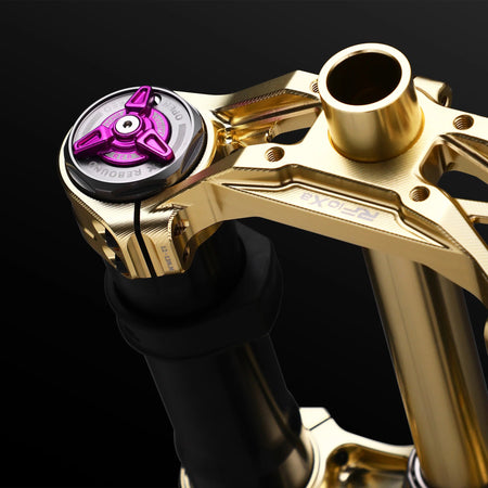 RFloXa Hawk31 Max (Gold) - Pinned Electric