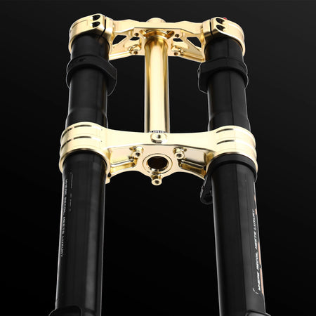 RFloXa Hawk31 Max (Gold) - Pinned Electric