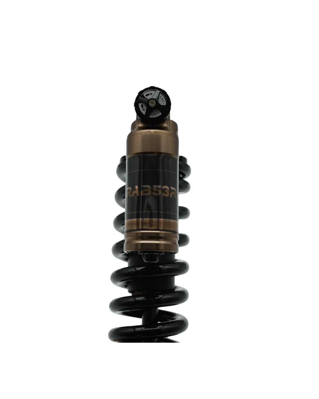 RFloXa RAB53RV Pinned Electric Special Edition Rear Shock - Pinned Electric