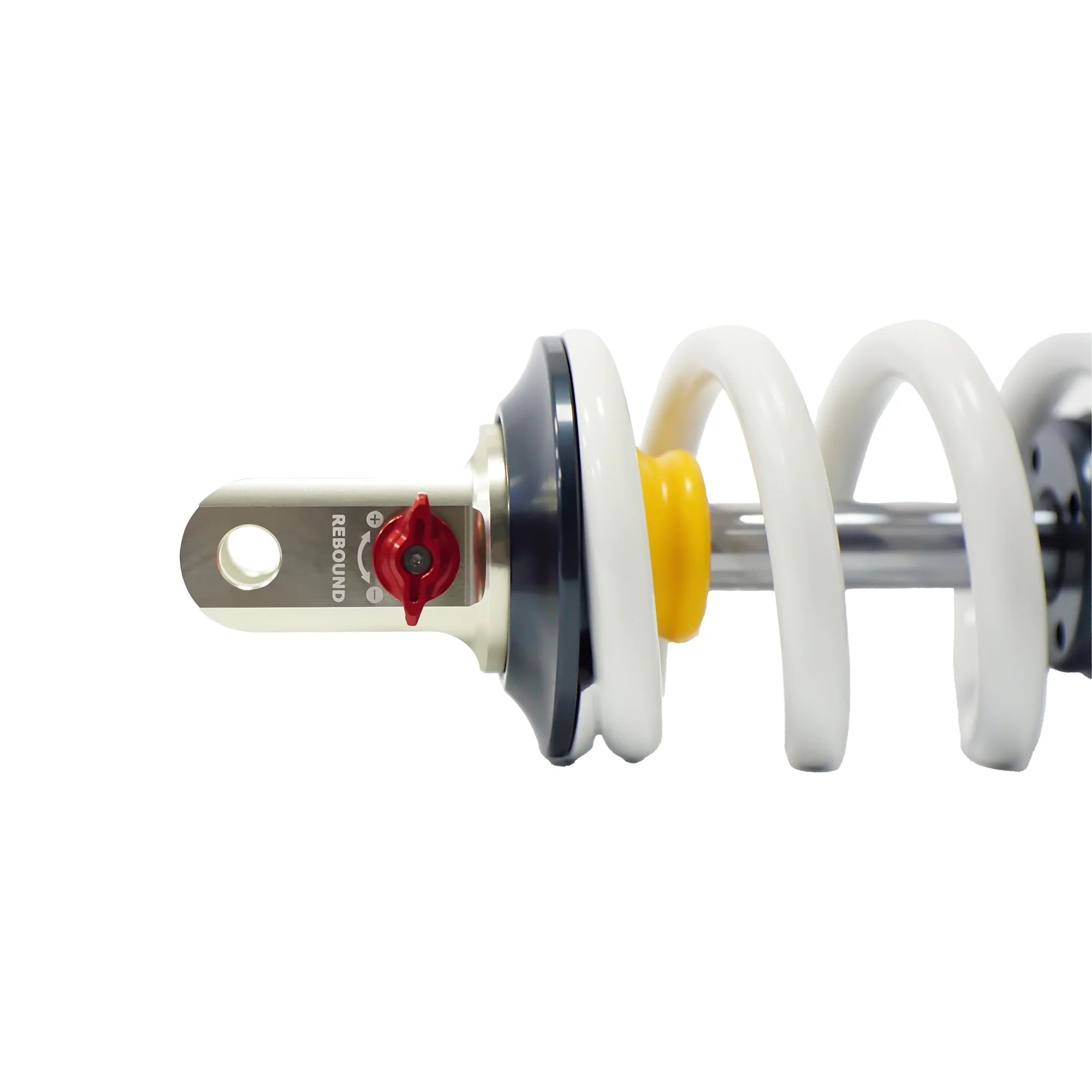 RFloXa RAF55RV - Pinned Electric