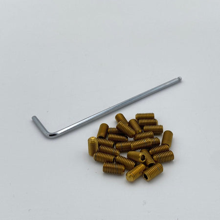 Titanium Elite Foot Peg Screws - Pinned Electric