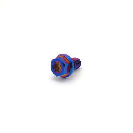 Titanium M6 Bolts - Pinned Electric