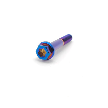 Titanium M6 Bolts - Pinned Electric