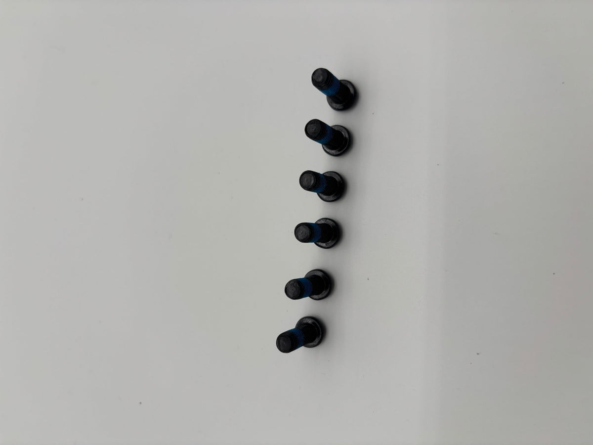 Ventus Disc / Rotor Bolts (OEM) – Set of 6 - Pinned Electric
