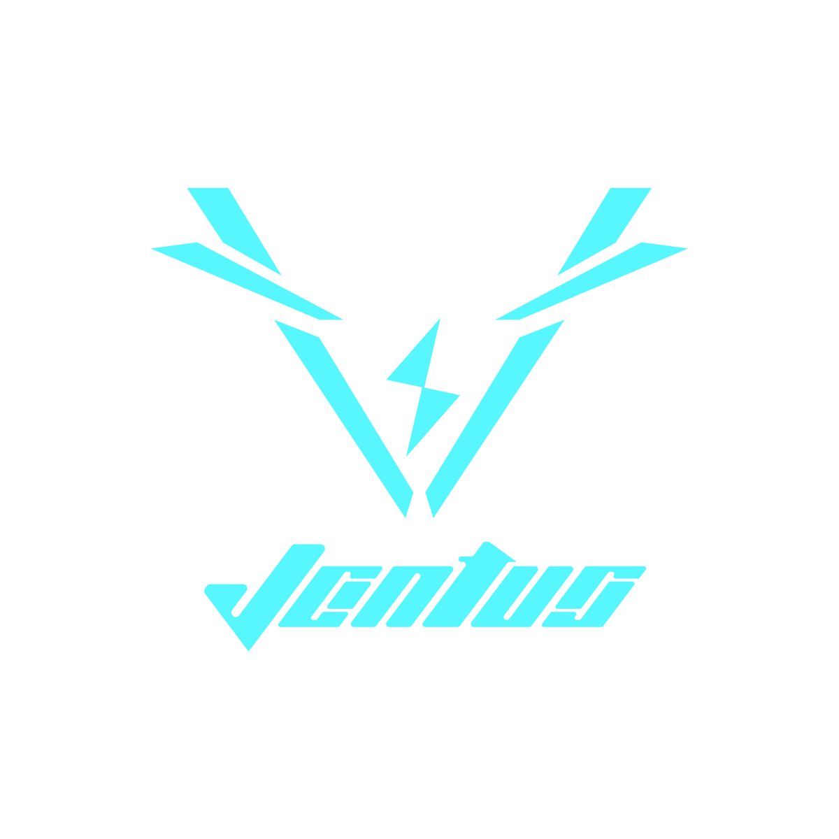 Ventus Fastace Front Master Cylinder (Ventus OEM) - Pinned Electric