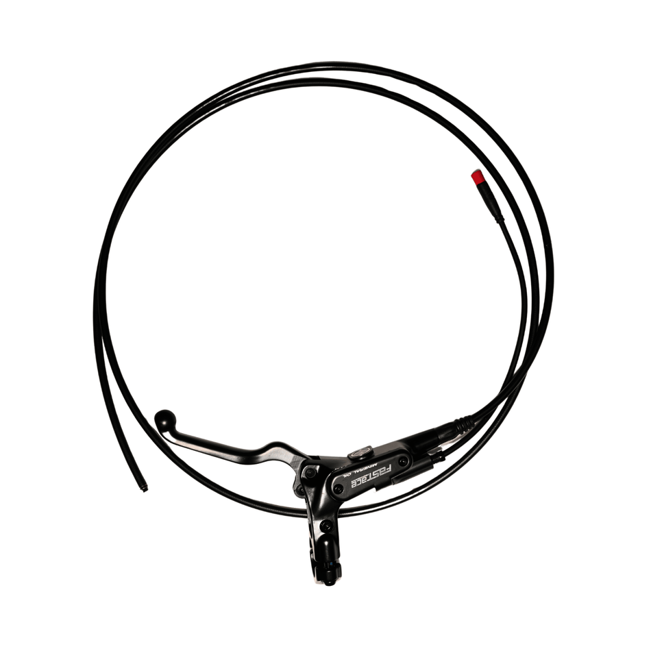 Ventus Fastace V1 Rear Master Cylinder and Hose (Ventus OEM) - Pinned Electric