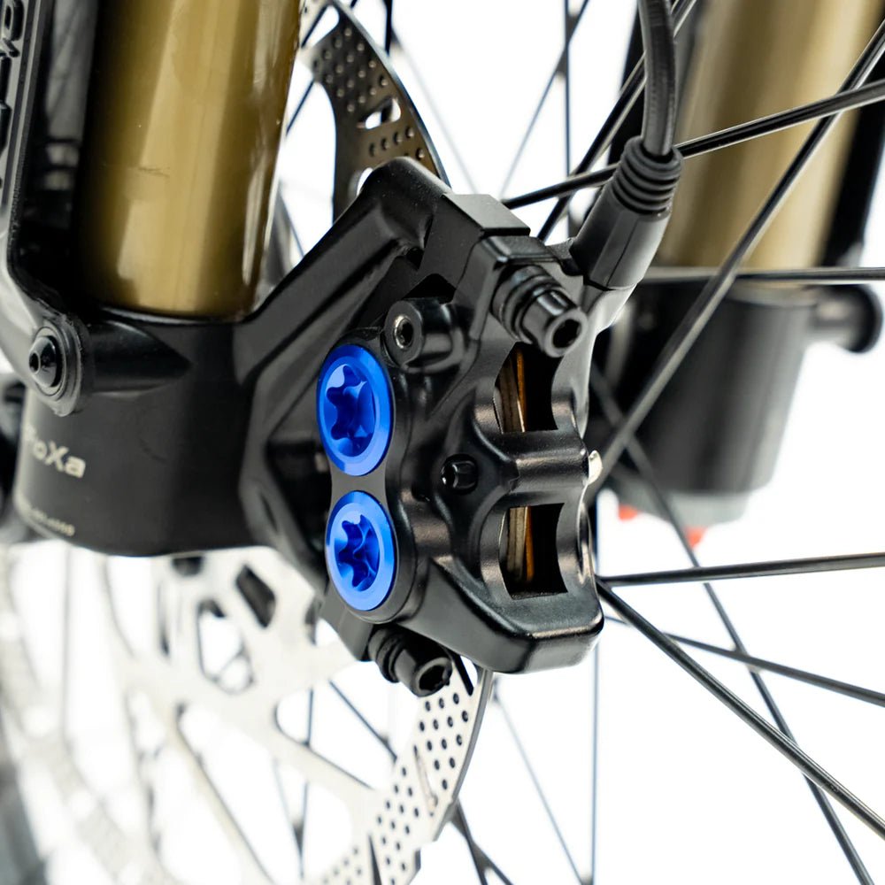 Ventus One Plus - Pinned Electric