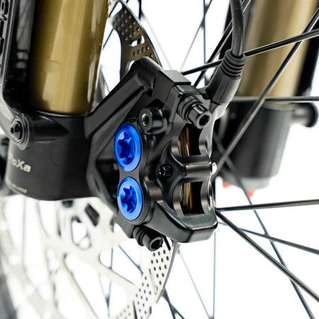 Ventus One Plus - Pinned Electric