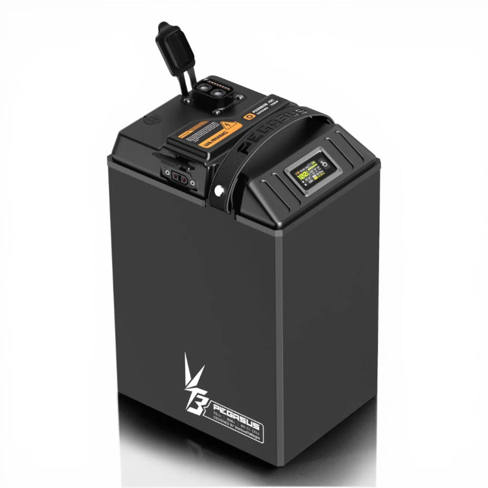 Ventus Ultra Bee Battery 96V 56AH - Pinned Electric