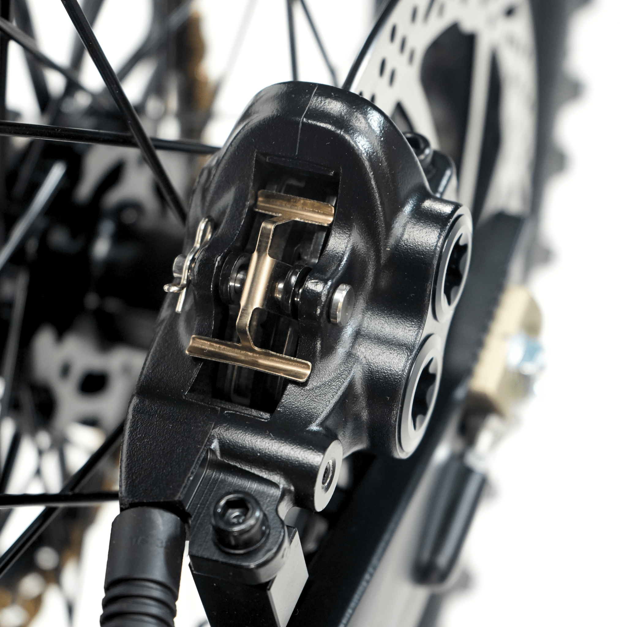 Ventus V1+ EVO - Pinned Electric