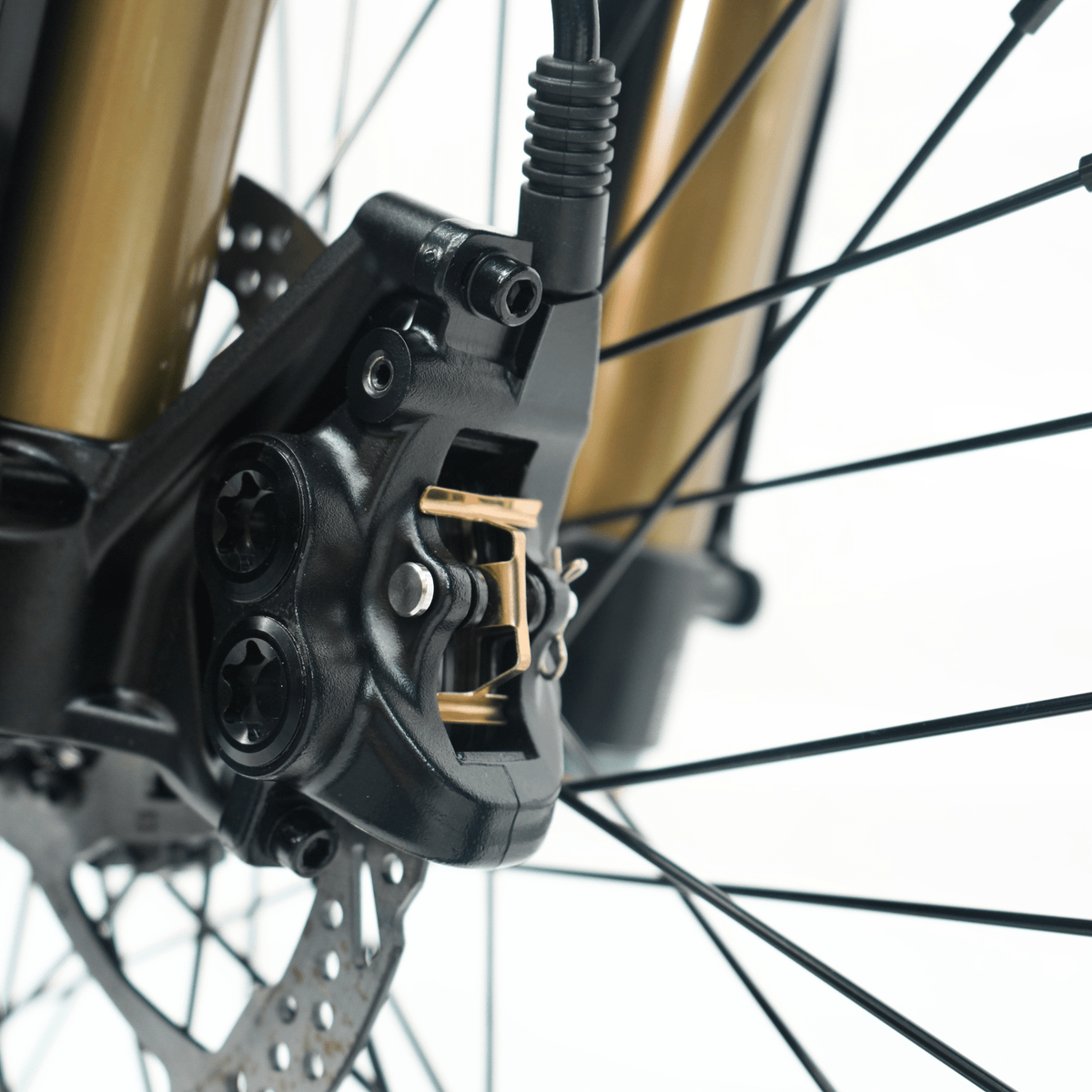 Ventus V1+ EVO - Pinned Electric