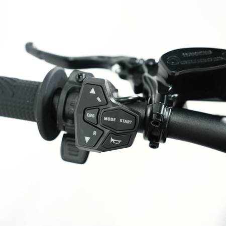 Ventus V1+ EVO - Pinned Electric