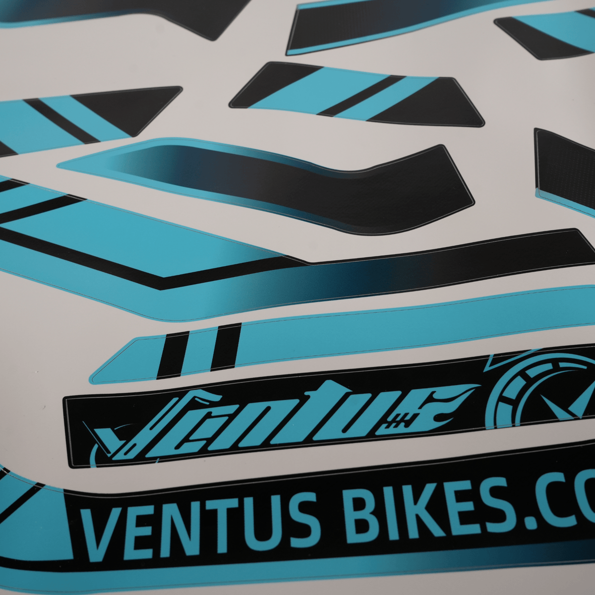Ventus V1+ Graphics (Ventus OEM) - Pinned Electric