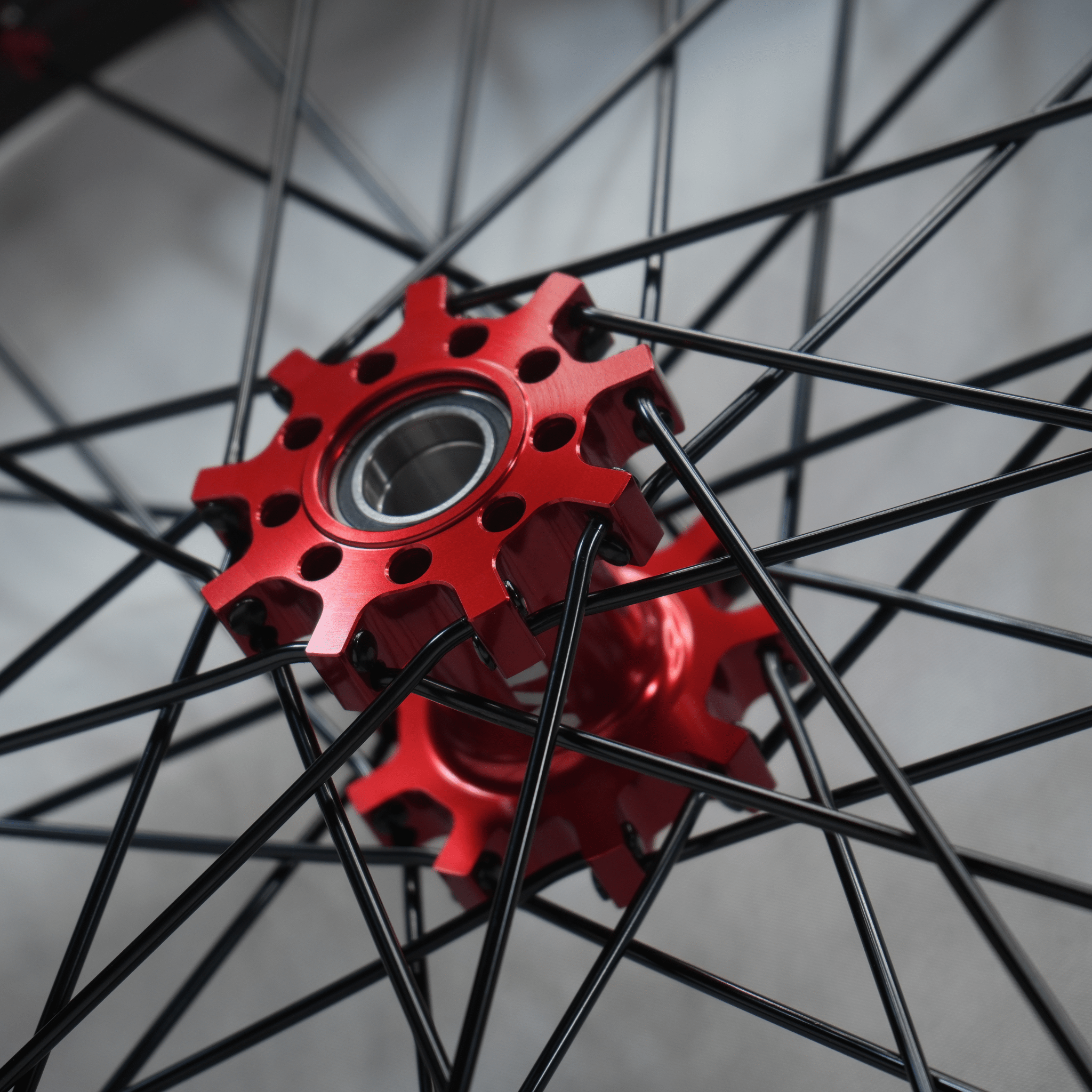 WGT Splattered V2 19x16 Wheel Set - Pinned Electric